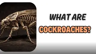 What Are Cockroaches? Cockroach Facts, History & Survival Secrets
