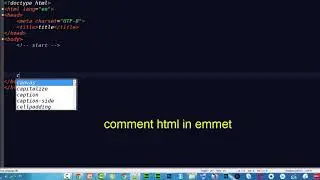 comment html emmet notepad++