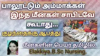 fish not to eat during breast feeding in Tamil/ fish to avoid in breast feeding/ high mercury fishes