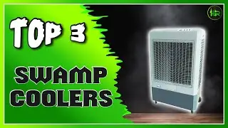 Best Swamp Coolers For Your Home
