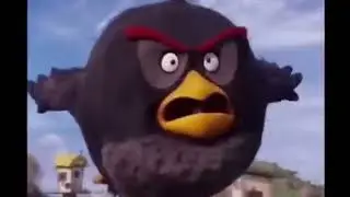 Топ-5 Angry Birds