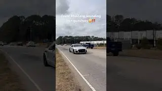 Crazy loud Mustang‼️😳 #carmeet #carstuff #mustang #cartok #fast #loudcar #fyp #shorts #viralvideo