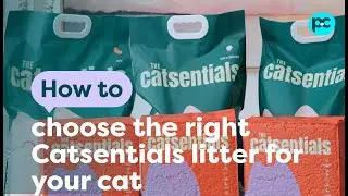 How to choose the best Catsentials litter for your #cat | PET CIRCLE
