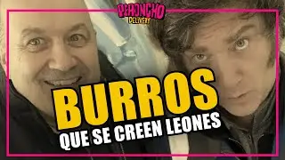 Burros que se creen leones: Milei, Sturzenegger y el disparate te&oacute;rico m&aacute;s idiota jam&aacute;s publicado.