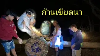 เลาะก้านเขียดโม้ ม่วนๆ ไล่คุบเขียด