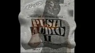 PUSH AUDIO VOL 2 FRED THE GODSON 