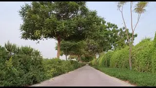Al Qusais Pond Park, Dubai View 2022
