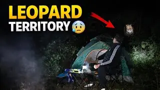 Leopard Territory | Dangerous Forest Camping | Camping In India #camping #dangerous #forest 