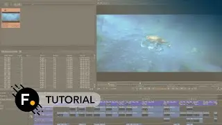 Using Custom Tags in Foundry's Nuke
