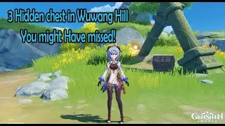 3 Hidden chest in Wuwang Hill you might have missed!