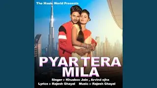 Pyaar Tera Mila