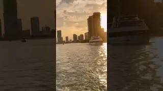 Miami Sunset 🌅 boat ride🛥️ #miami #boatride #sunset