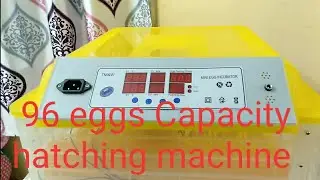 Hatching machine installation/ 96/112 eggs capacity / Fully automatic incubator