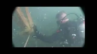 Crazy find under boat dock