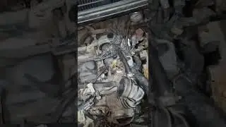 Hyundai Xcent Petrol to CNG Convart Problem #cng #automobile #car