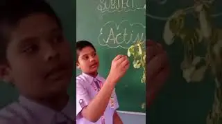 Parts of a plant activity, activity om science, activity of parts of plant