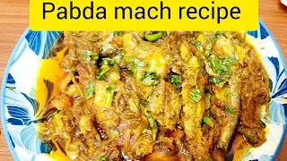 pabda fish curry|| pabda macher jol || pabda || pabda mach jal jal buna|| pabda mach recipe