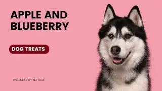 APPLE AND BLUEBERRY DOG TREATS