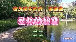 姍姍收藏音樂【懷念帽子歌后鳳飛飛=松林的低語】#民歌 #鳳飛飛#松林的低語#台灣女歌手#懷舊音樂 #音樂#帽子歌后
