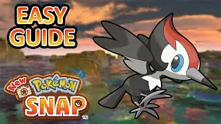 Hard at Work in the Jungle Request Guide - New Pokemon Snap