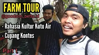 Farm Tour Grebek Goodson Betta - Dapat Banyak Ilmu