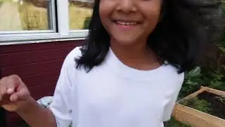 Baby shy house and the Nils