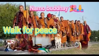 Walk for peace | Buddhism | Buddha Peace | Buddha Panchsheel | #walkforpeace #buddhism #peace #viral