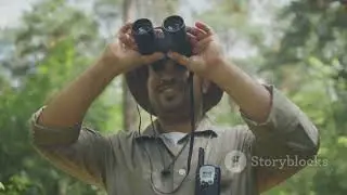 Vietnam's Primate Paradise: Trekking Through Cat Tien National Park #animal2024 #wildlife