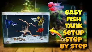 Easy Fish tank setup step by step | Imported guppie setup | fish tank | fish 