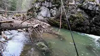 Trout Fishing on the river Stupčanica-Pecanje pastrmke na rijeci Stupčanici