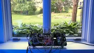 No Potted Plants - Generative Modular Ambient