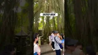 Jungle walk at sacred monkey forest #ubud #viralshorts #monkeyforestubud