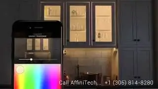 AffiniTech LLC Integrating Savant Lighting TrueImage