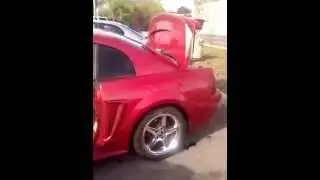 Tre Monet washing the beast