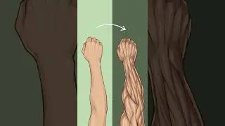 How to Really Build Bigger Forearms at Home (No Gym Needed)