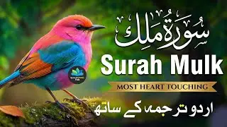 Surah Al-Mulk (سورة الملك) | Peaceful Quran Recitation for Night Protection & Inner Calm