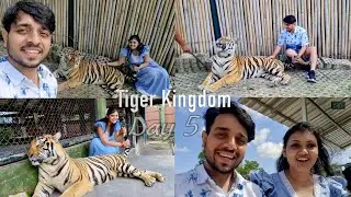 Up Close with Tigers 🐯 and Elephant ride  🐘 | Phuket Day 5 Adventure at Tiger Kingdom Thailand
