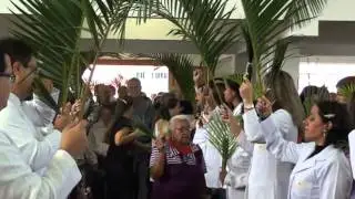 Chegada da Procissão de Ramos - Paróquia Nossa Senhora Aparecida - Porto Feliz SP 24-03-2013