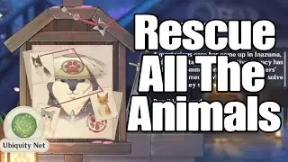 Rescue 3 little animals from the place of interest Genshin Impact