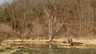Dirty Water Blues @DonGephart-t6z