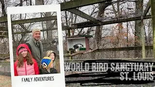 World Bird Sanctuary, St. Louis | Family Adventures 2022