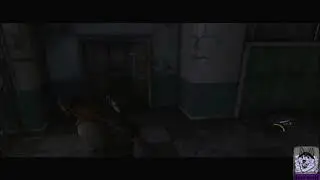 Stream Trailer - darrwolf21.ttv
