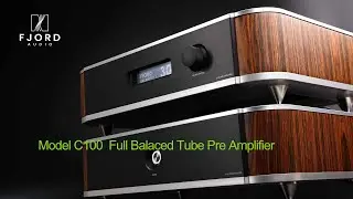 FJORD AUDIO  C100 _ Pre amplifier