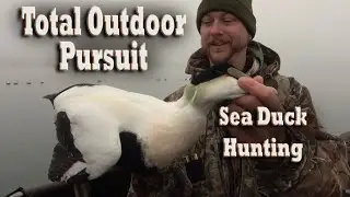 Sea Duck Hunting in Maine! Waterfowl Hunt for Eider, Oldsquaw & Scoters at Penobscot Bay Outfitters!