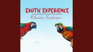 Nature Sounds at Home