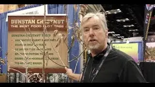 Fast-Growing Food Plot Trees from Chestnut Hill Outdoors