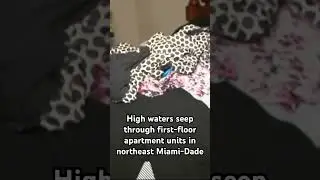 Apartments left flooded in northeast Miami-Dade. #miamidade #weather #floods