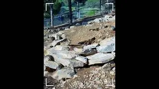Parques de coelho-bravo do Projeto PRLIC