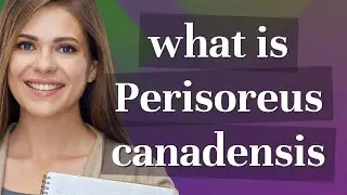 Perisoreus canadensis | meaning of Perisoreus canadensis