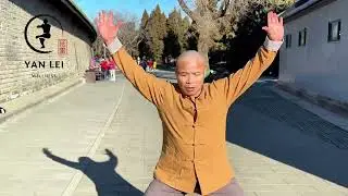 Shaolin Fitness and Yi Jin Jing Qigong Retreat In Crete